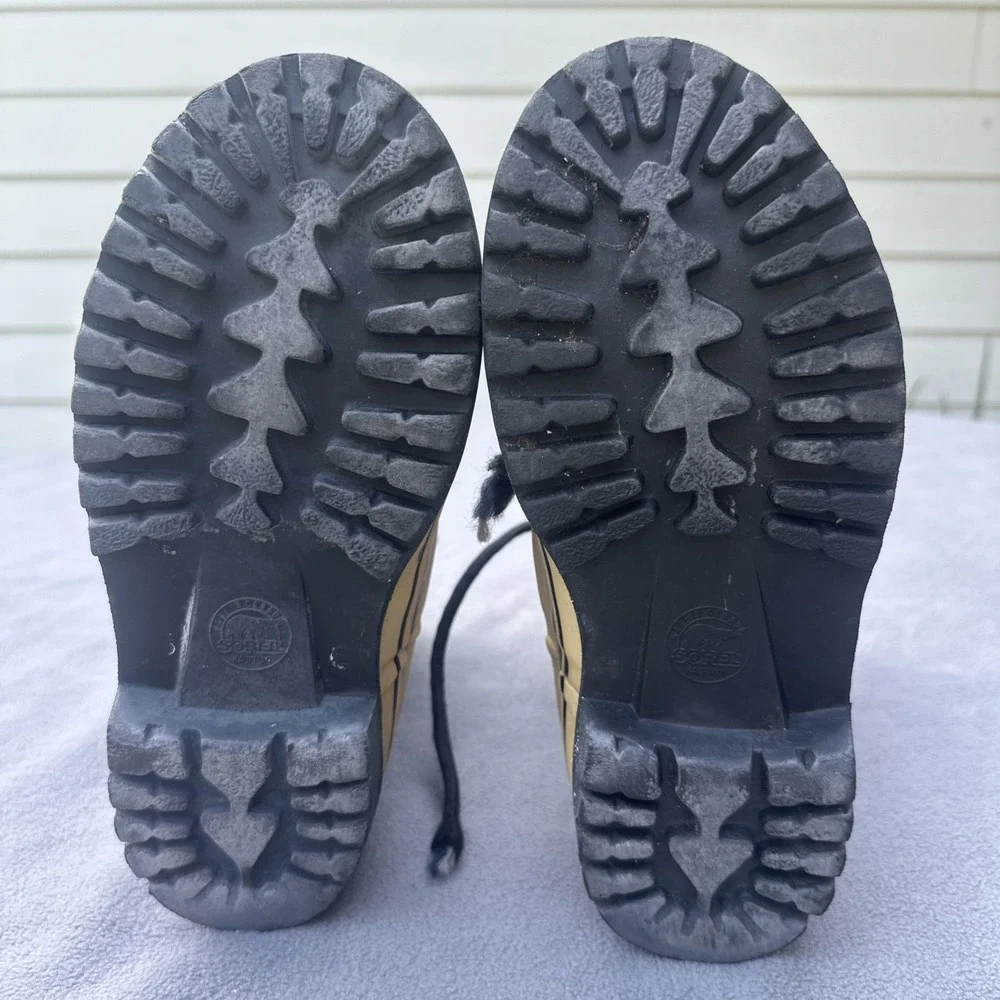 Sorel caribou winter